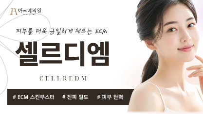 셀르디엠