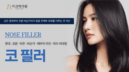 코 (콧대·코끝·비주·비순각) 필러