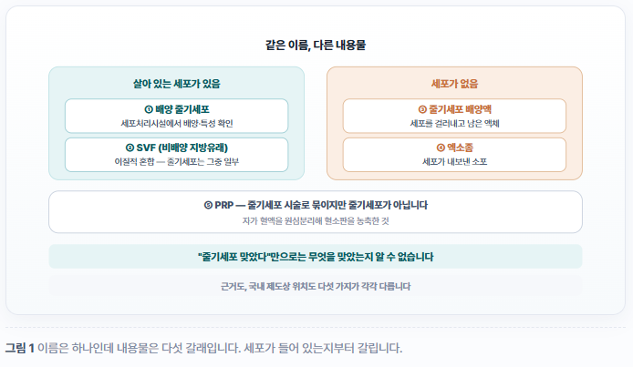 36편-미용 줄기세포 시술의 종류와 근거 배양액·엑소좀·SVF·PRP는 무엇이 다른가