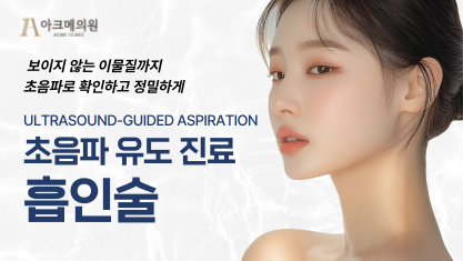 초음파 유도 진료/흡인술 (필러 제거)