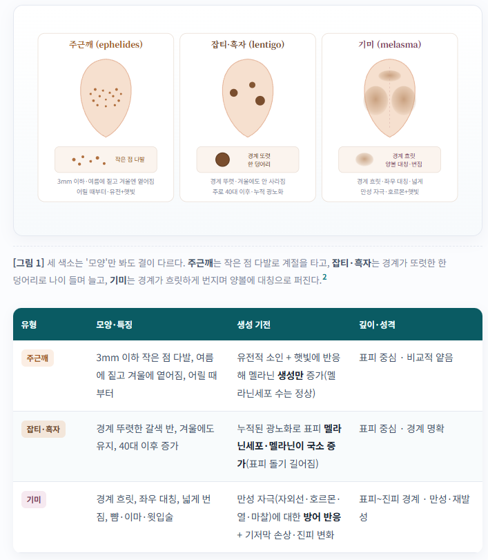 7편 - 기미, 잡티, 흑자, 주근깨 : 토닝을 받아도 왜 계속 올라올까?