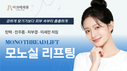 모노실 리프팅